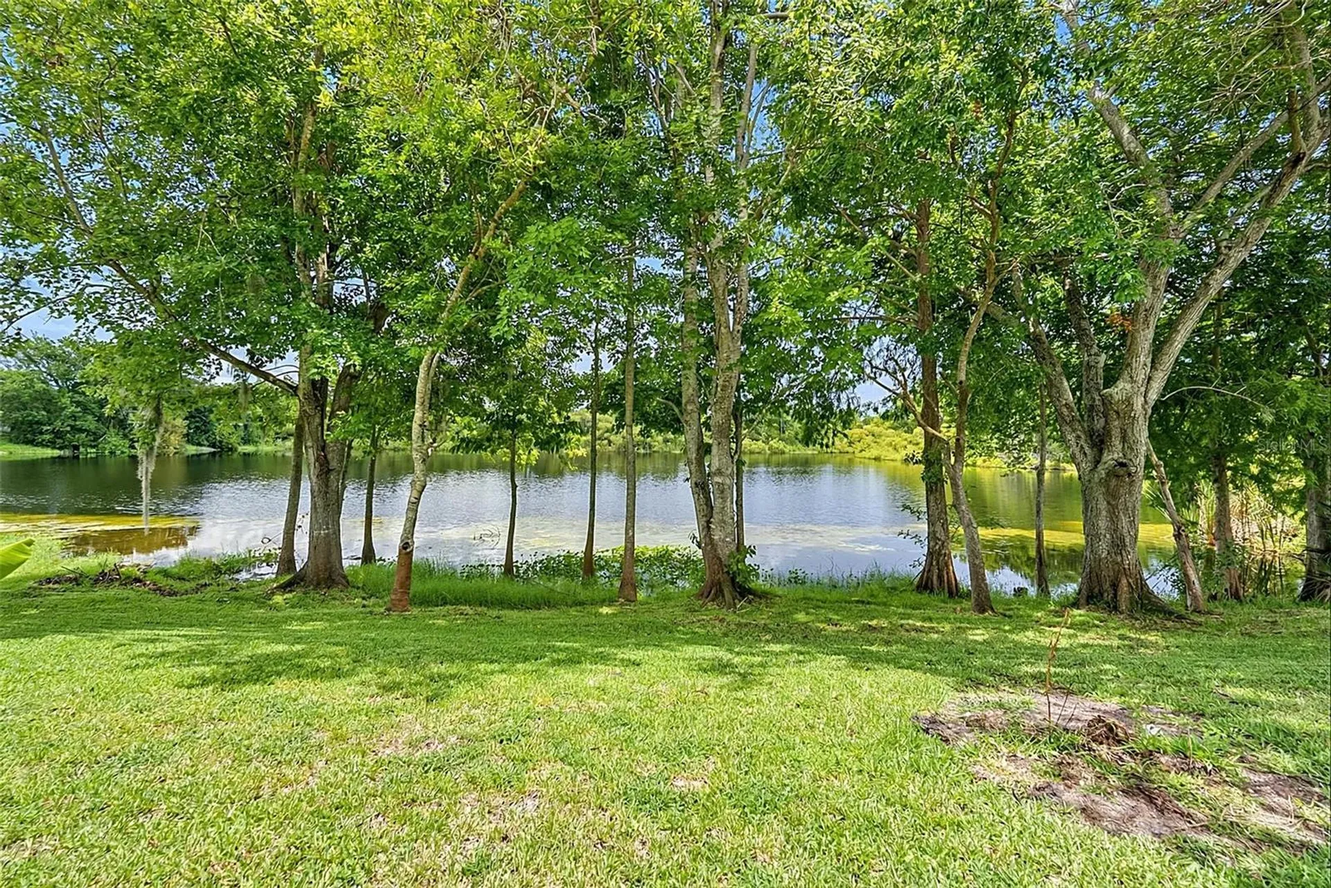 1408 Royal Grove Lane Port Orange FL 32129