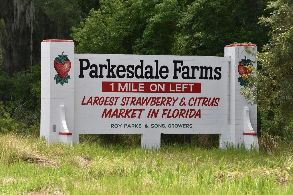 5015 Turkey Creek Road Plant City FL 33567