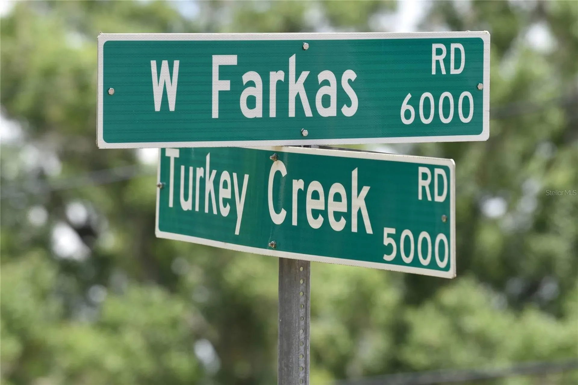 5015 Turkey Creek Road Plant City FL 33567