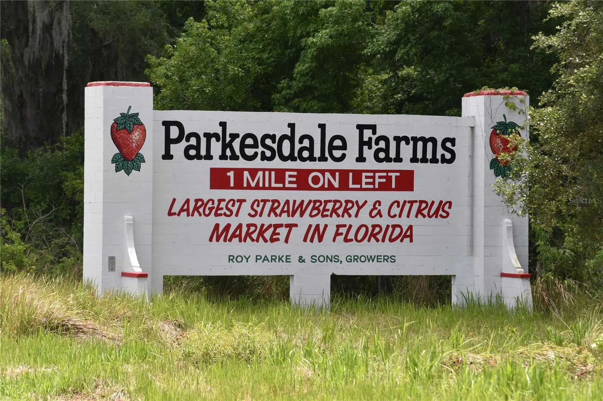 5015 Turkey Creek Road Plant City FL 33567