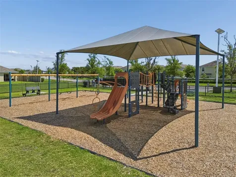 31536 Barrel Wave Way Wesley Chapel FL 33545