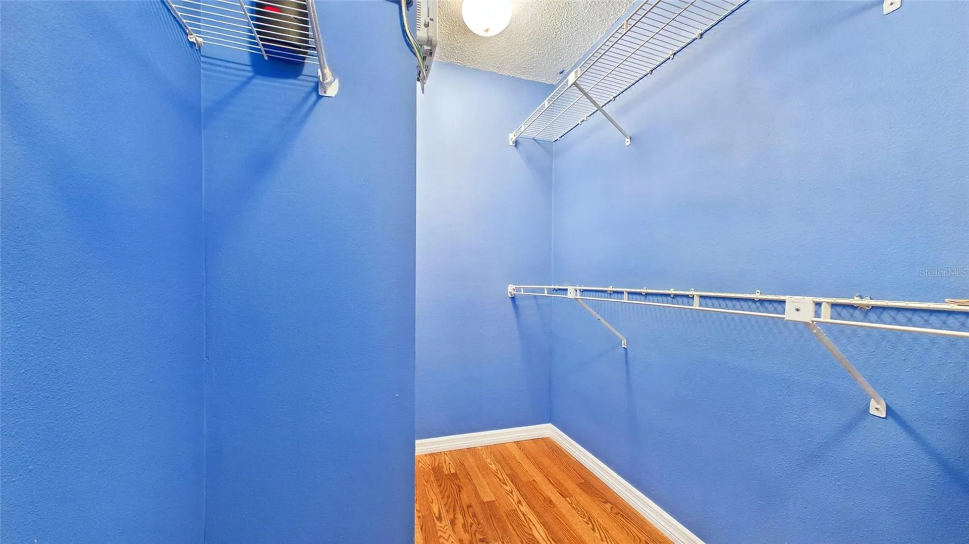 1539 Rebecca Lane Dunedin FL 34698