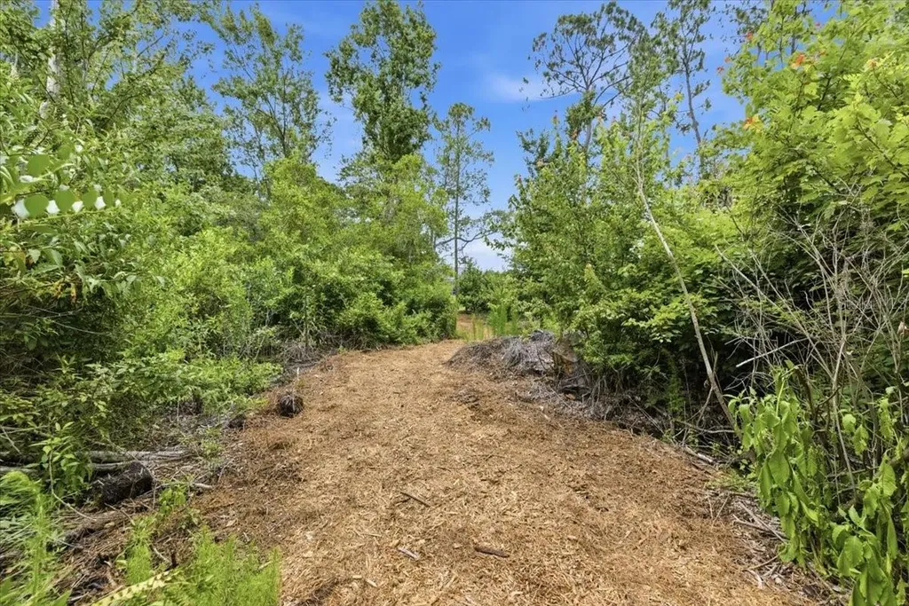 6213 Bridleford Drive Wesley Chapel FL 33545