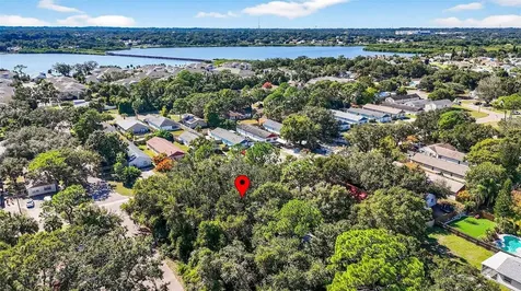 3133 Huron Avenue Oldsmar FL 34677