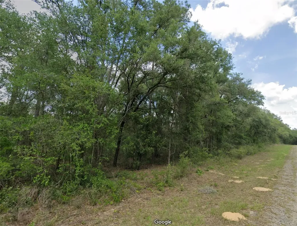 737 E Byrd Loop Dunnellon FL 34434