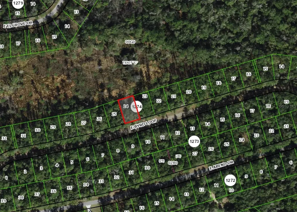 737 E Byrd Loop Dunnellon FL 34434