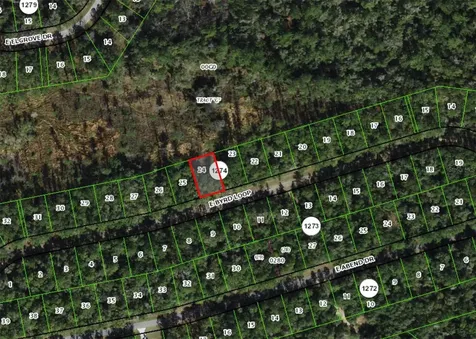 737 E Byrd Loop Dunnellon FL 34434