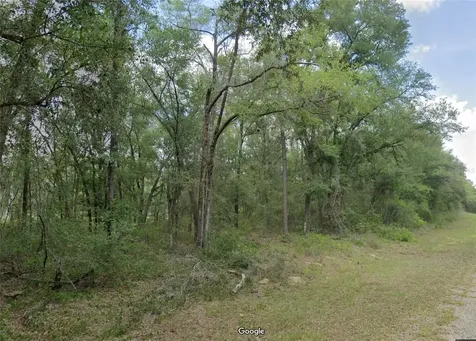 719 E Byrd Loop Dunnellon FL 34434