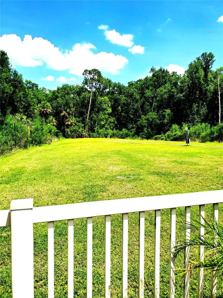32871 Brooks Hawk Lane Wesley Chapel FL 33543