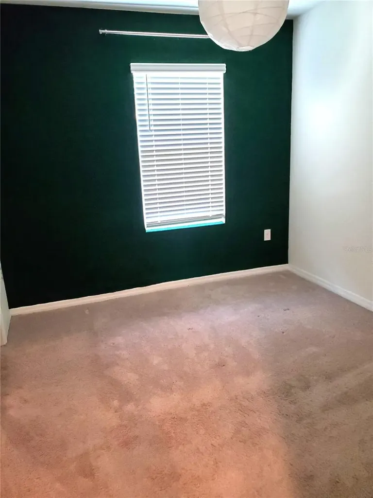 32871 Brooks Hawk Lane Wesley Chapel FL 33543