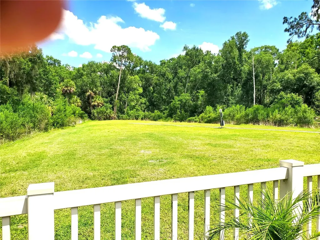 32871 Brooks Hawk Lane Wesley Chapel FL 33543
