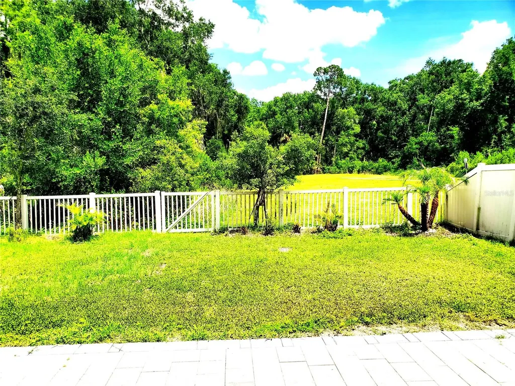32871 Brooks Hawk Lane Wesley Chapel FL 33543