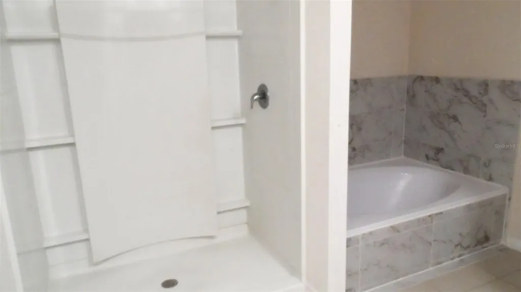 32871 Brooks Hawk Lane Wesley Chapel FL 33543