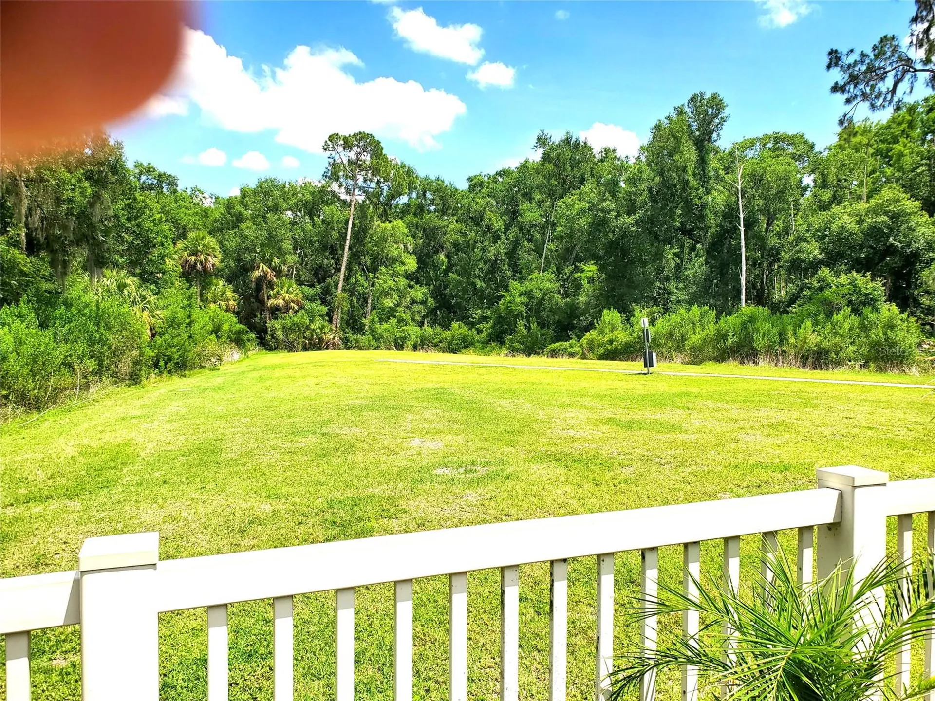 32871 Brooks Hawk Lane Wesley Chapel FL 33543