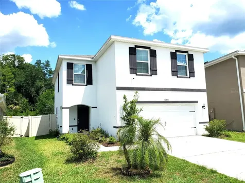 32871 Brooks Hawk Lane Wesley Chapel FL 33543