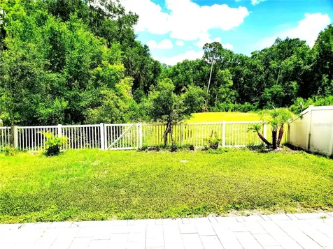32871 Brooks Hawk Lane Wesley Chapel FL 33543