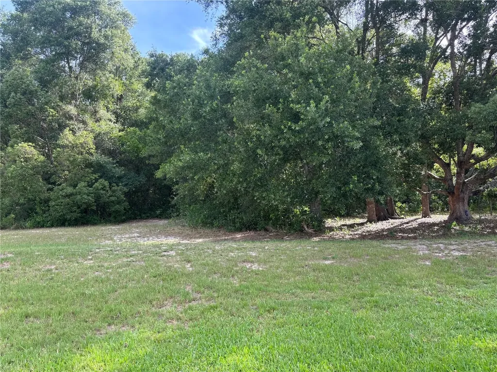 3945 N Citrus Circle Zellwood FL 32798