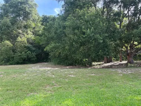 3945 N Citrus Circle Zellwood FL 32798