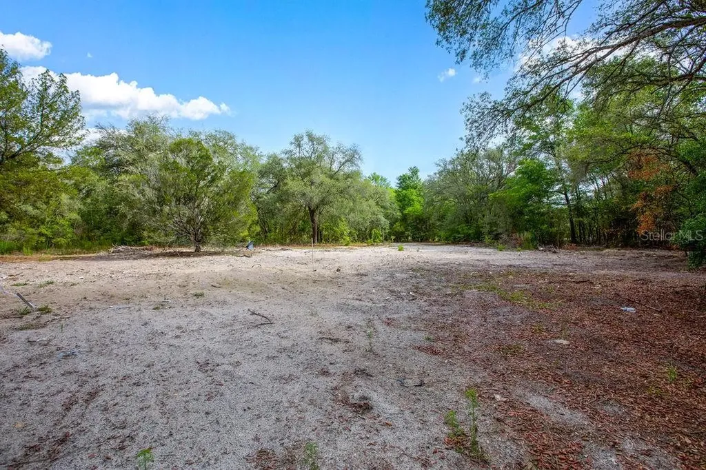 5350 SE 3rd Lane Trenton FL 32693