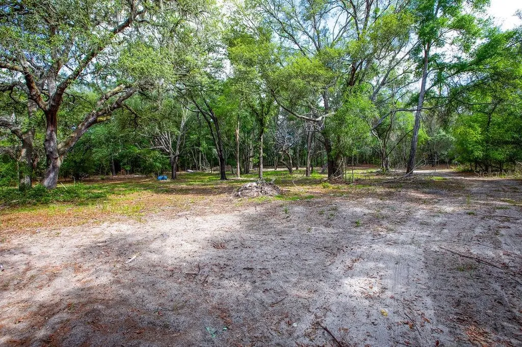 5350 SE 3rd Lane Trenton FL 32693