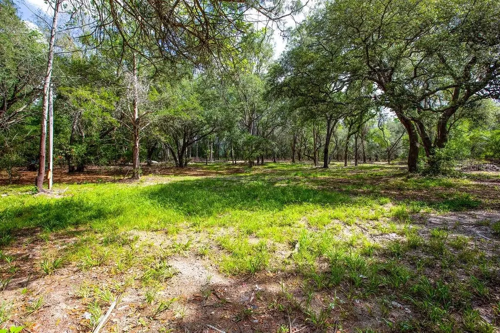 5350 SE 3rd Lane Trenton FL 32693