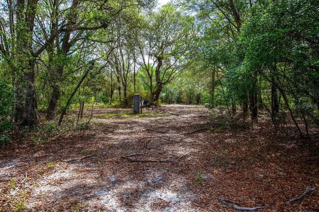 5350 SE 3rd Lane Trenton FL 32693