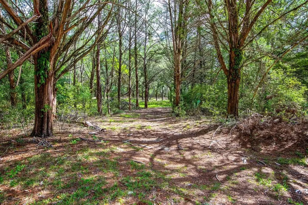 5350 SE 3rd Lane Trenton FL 32693