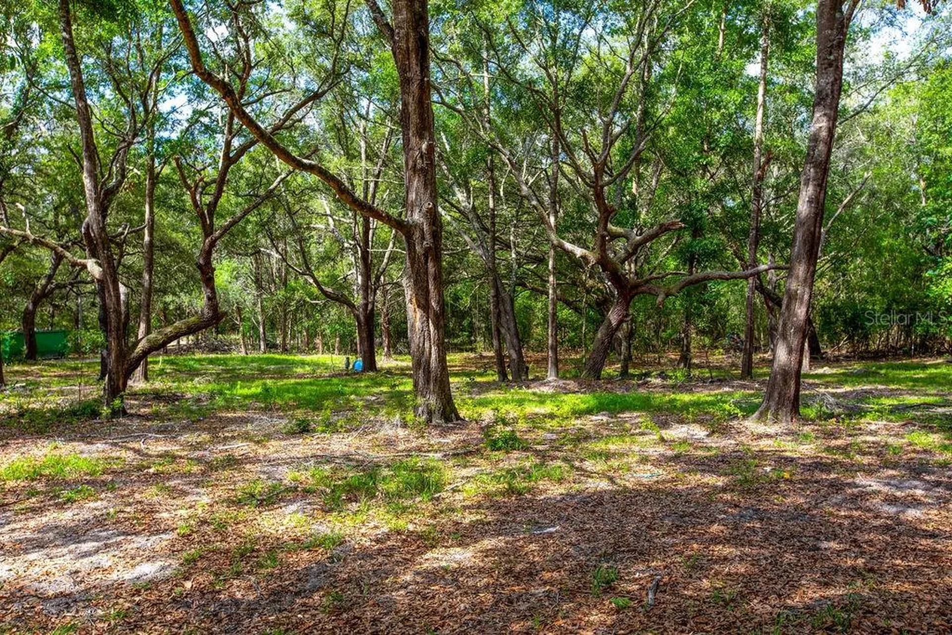 5350 SE 3rd Lane Trenton FL 32693