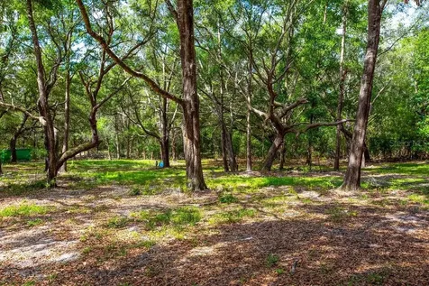 5350 SE 3rd Lane Trenton FL 32693