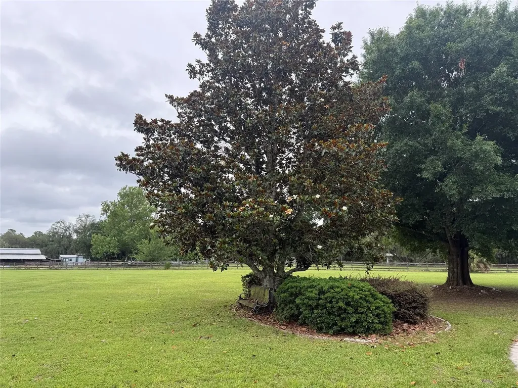 31405 Bear Pond Drive Sorrento FL 32776