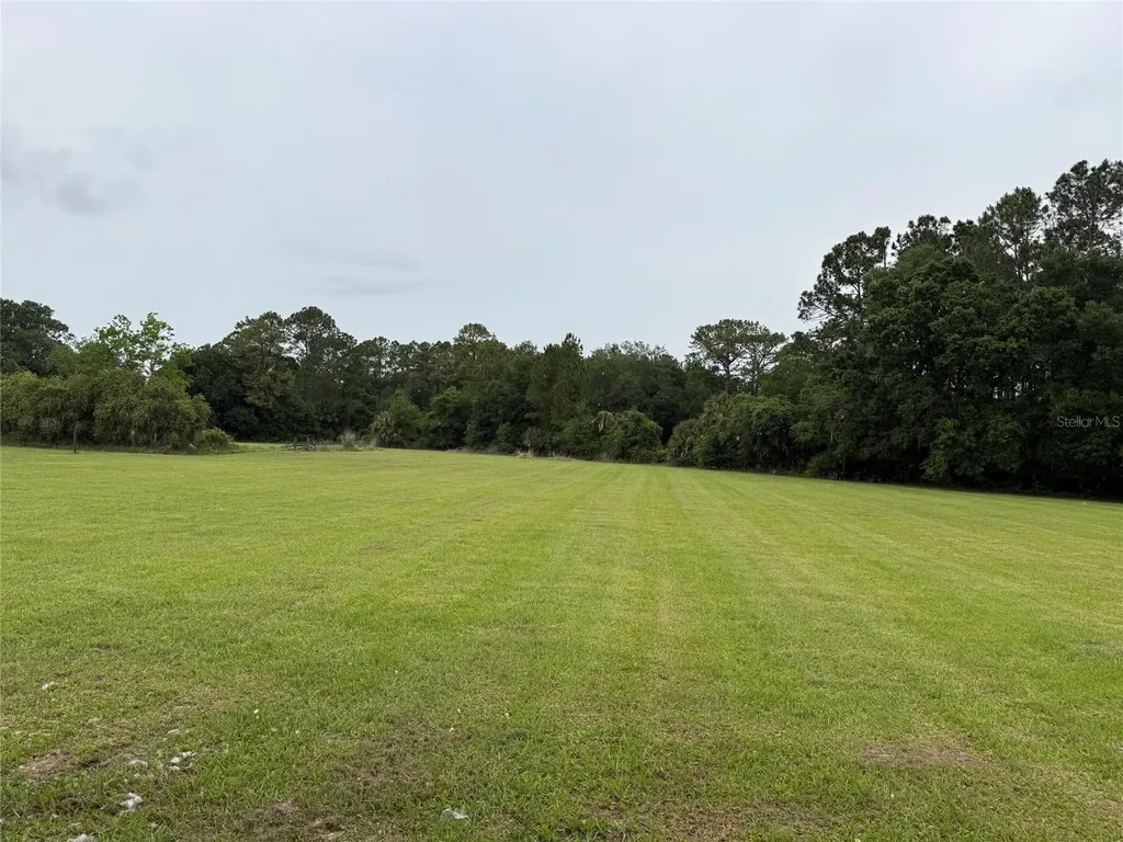 31405 Bear Pond Drive Sorrento FL 32776