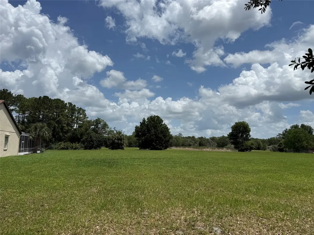 31405 Bear Pond Drive Sorrento FL 32776
