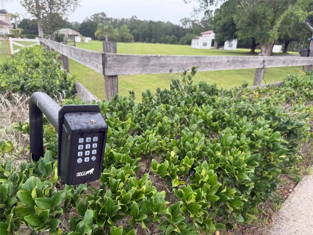 31405 Bear Pond Drive Sorrento FL 32776