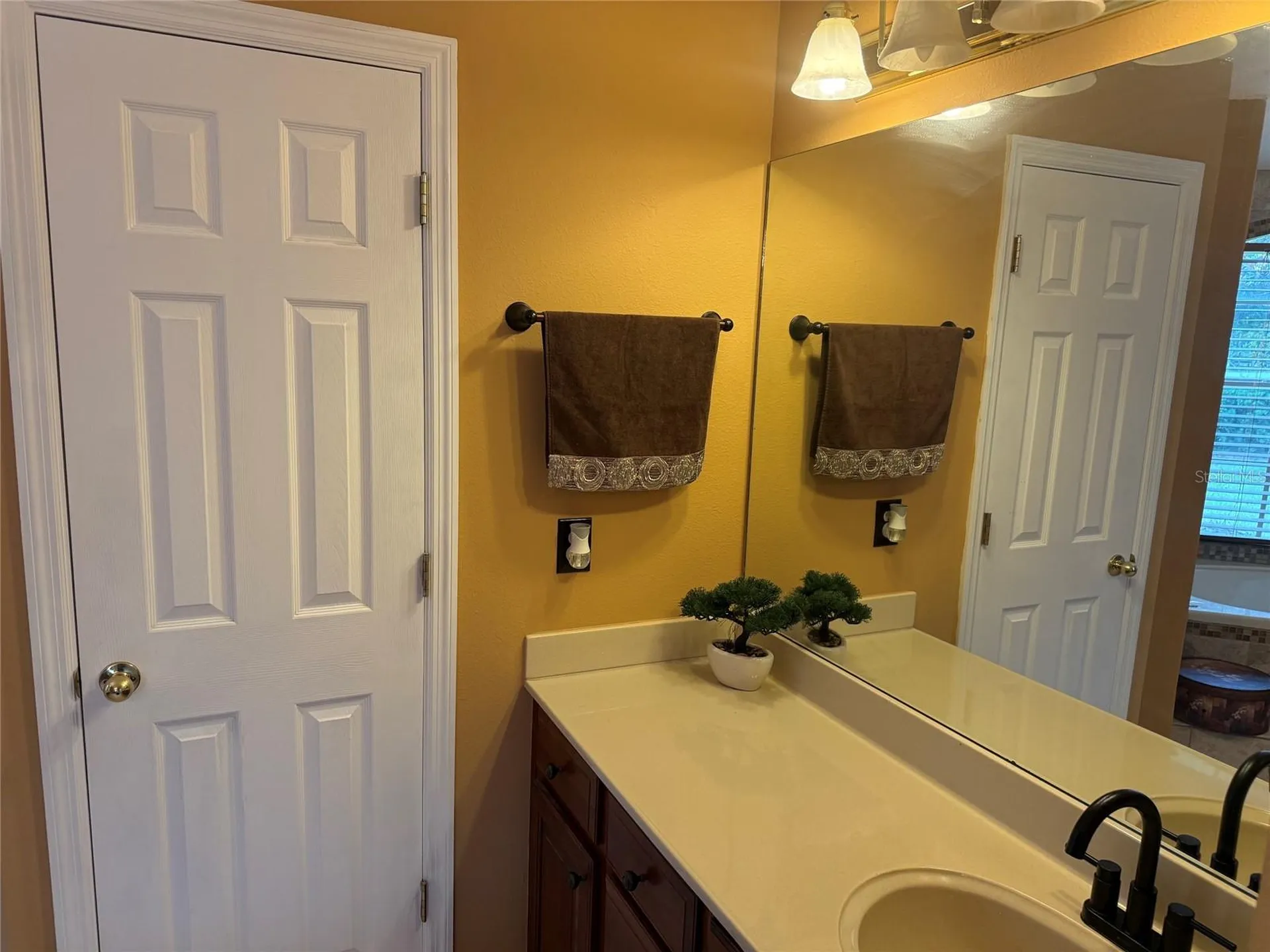 31405 Bear Pond Drive Sorrento FL 32776