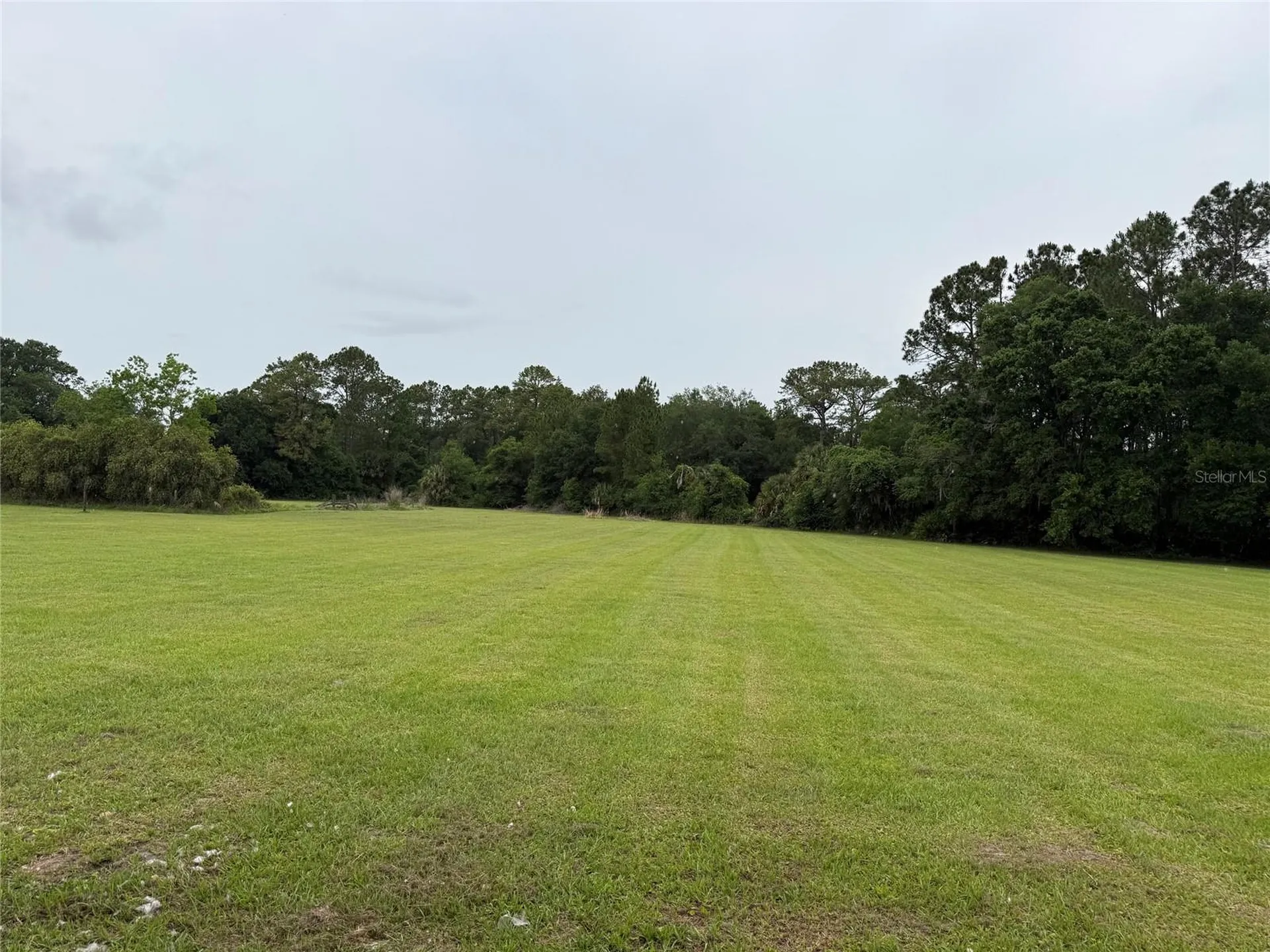 31405 Bear Pond Drive Sorrento FL 32776