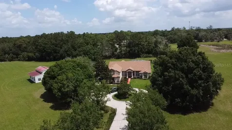 31405 Bear Pond Drive Sorrento FL 32776