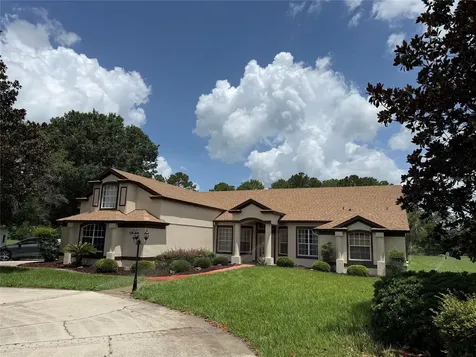 31405 Bear Pond Drive Sorrento FL 32776