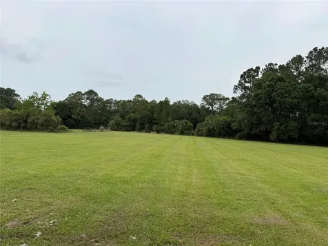 31405 Bear Pond Drive Sorrento FL 32776