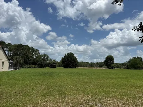31405 Bear Pond Drive Sorrento FL 32776