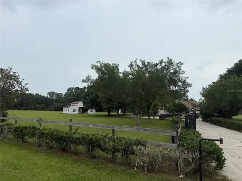 31405 Bear Pond Drive Sorrento FL 32776