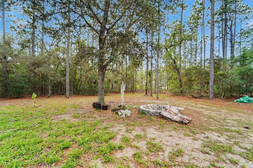 1210 W Fan Drive Citrus Springs FL 34434