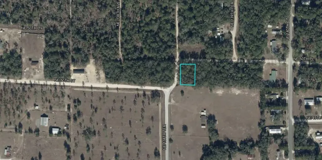 NE 50th Place Williston FL 32696