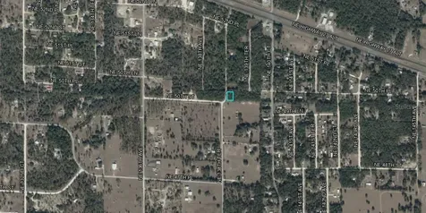NE 50th Place Williston FL 32696
