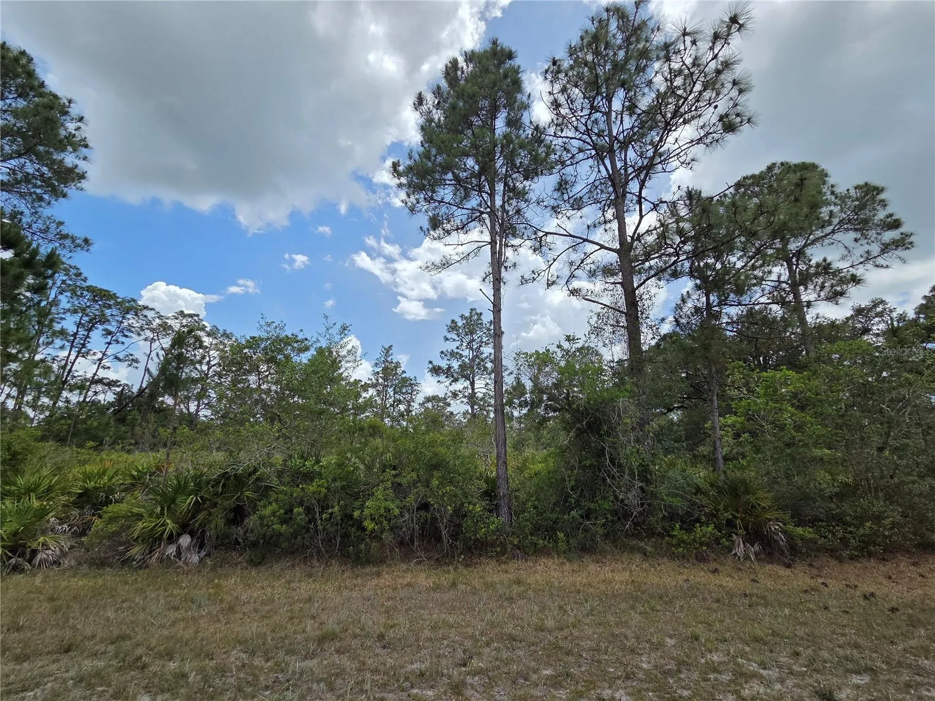 915 Laguna Drive Indian Lake Estates FL 33855