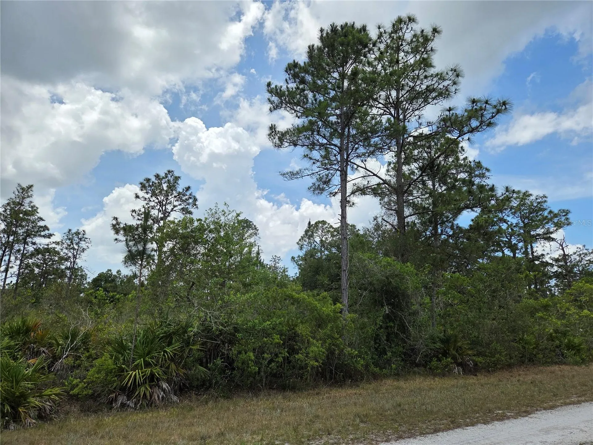 915 Laguna Drive Indian Lake Estates FL 33855