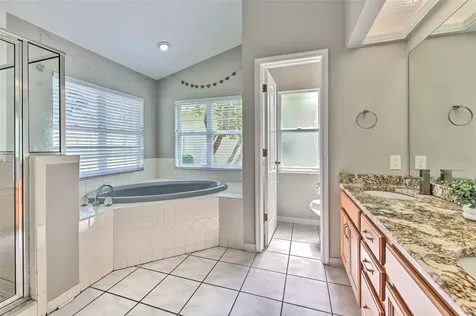 2327 Eagle Bluff Drive Valrico FL 33596