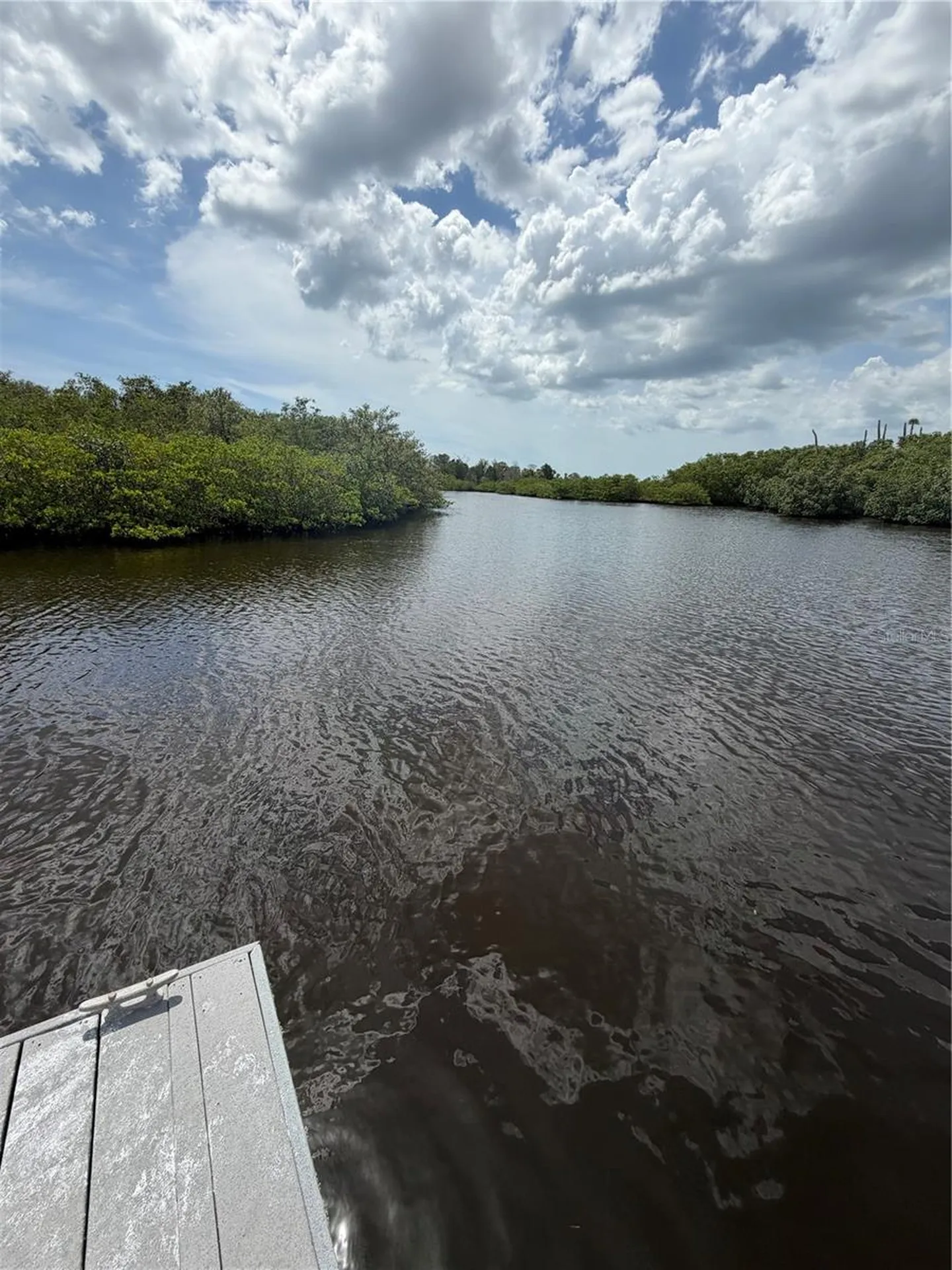 9980 Eagles Point Circle Port Richey FL 34668