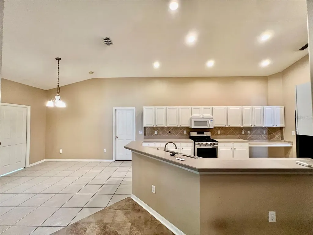 18241 Collridge Drive Tampa FL 33647