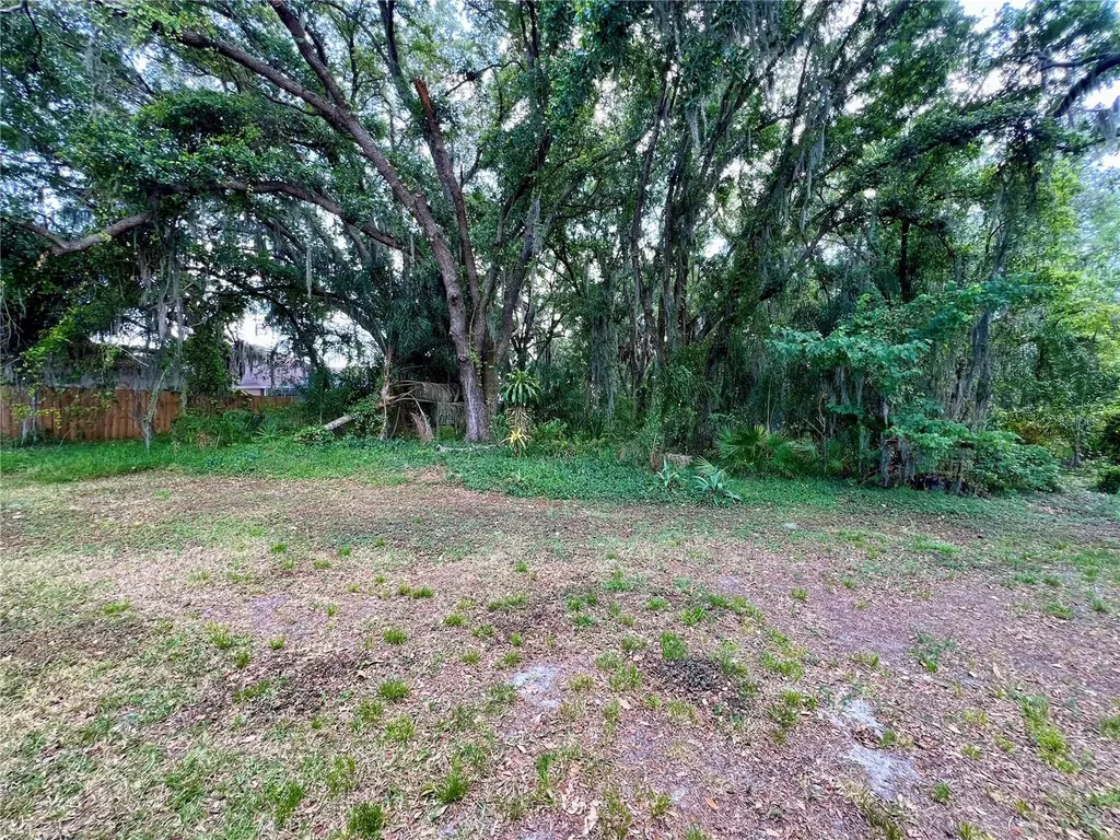 18241 Collridge Drive Tampa FL 33647