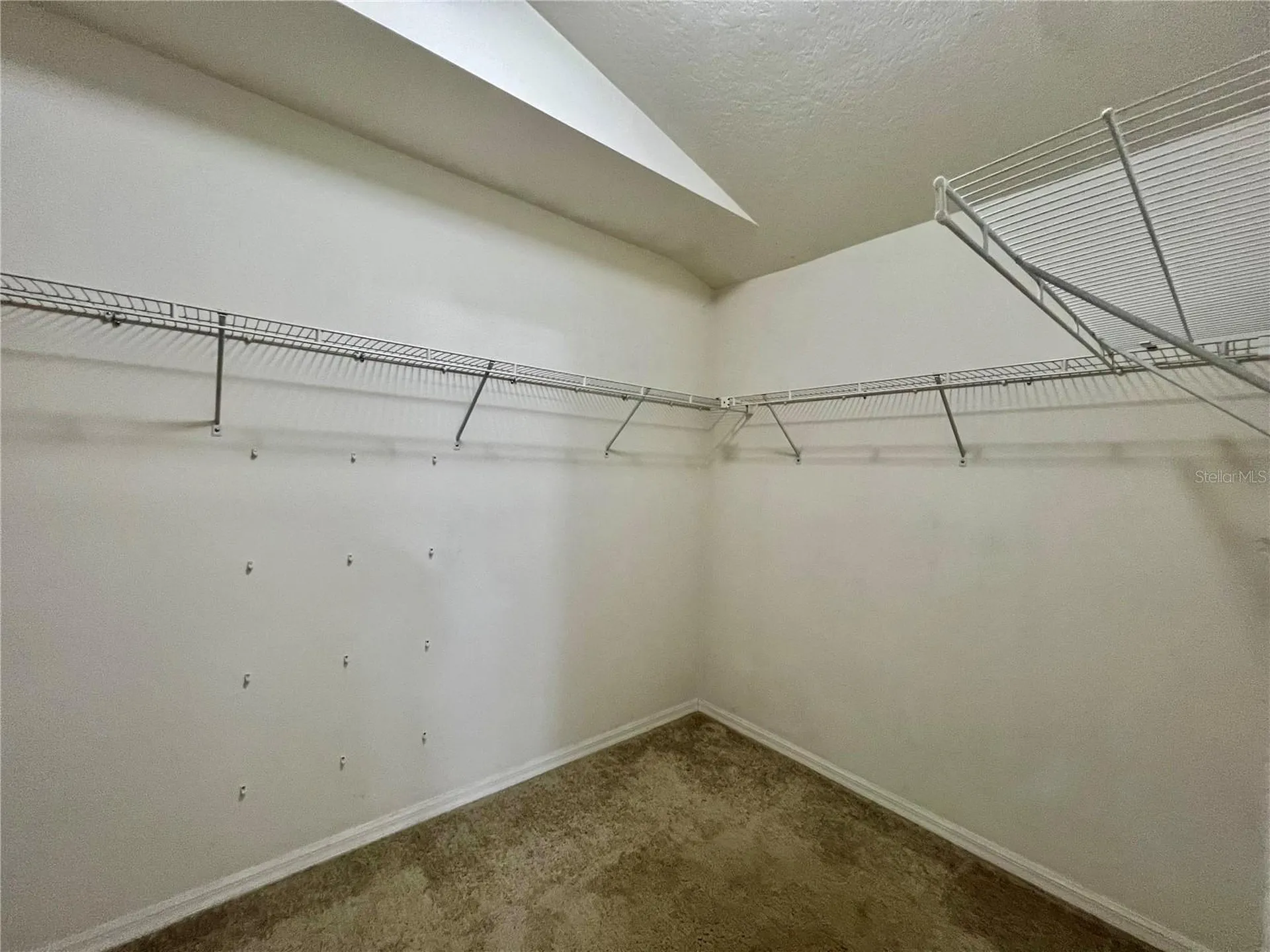 18241 Collridge Drive Tampa FL 33647